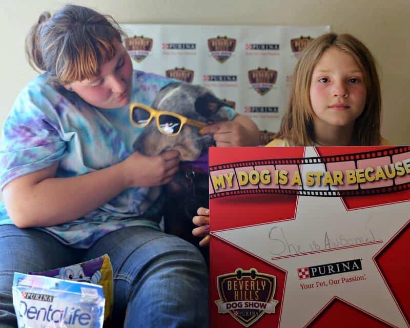 purina every dog is a star