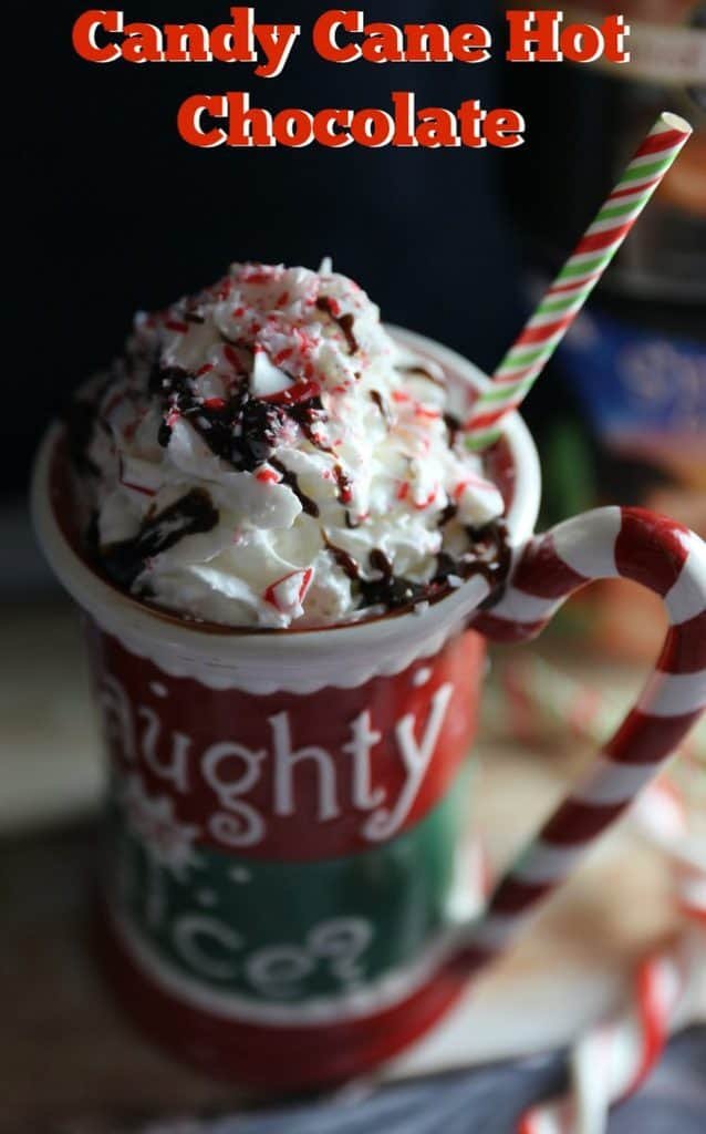 Candy Cane Hot Chocolate 10 Candy Cane Hot Chocolate