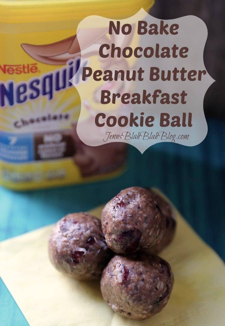 No-Bake Chocolate Peanut Butter Breakfast Balls 10 Chocolate Peanut Butter Breakfast Balls with Chia Seed