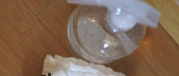 DIY Home Remedies to Remove Stains and Odors