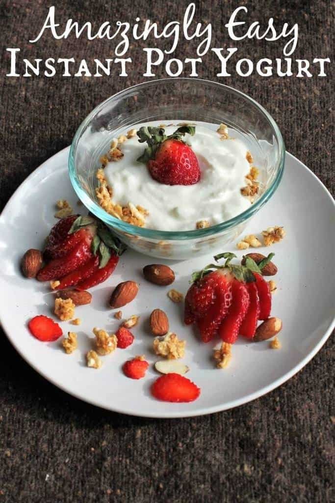 17 Droolworthy Instant Pot Recipes 24 Easy Instant Pot Yogurt
