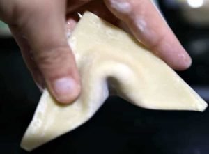 Super Delish Veggie Fried Rice Wontons 21 Veggie Fried Rice Wontons