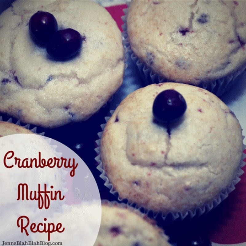 Sweet and Tangy Cranberry Muffins Recipe 11 Cranberry Muffin Recipe