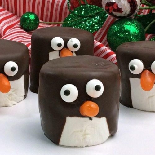 Super Fun Chocolate Covered Marshmallow Penguins 11 Chocolate Covered Marshmallow Penguins