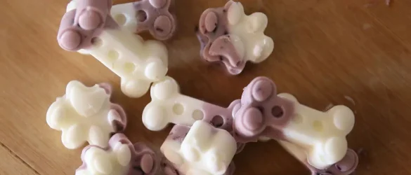 Frozen Blueberry Yogurt Dog Treats