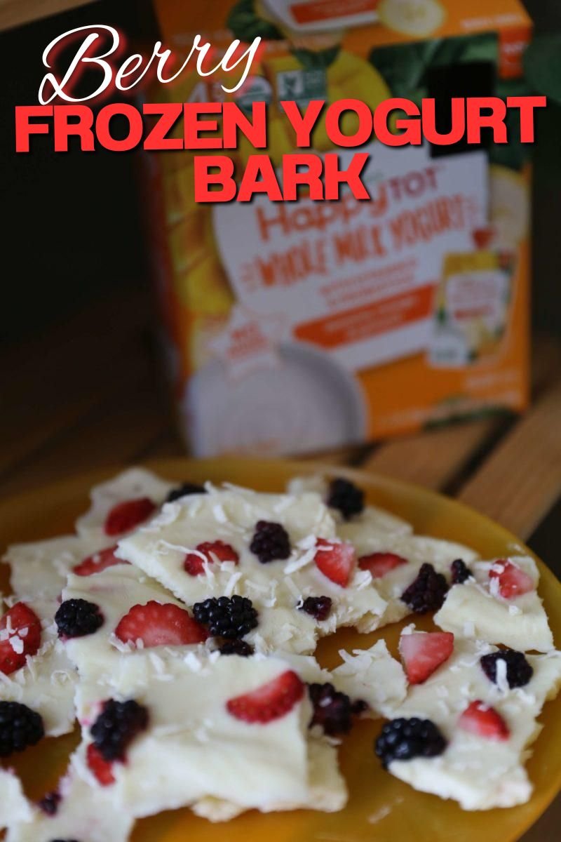 Berry Frozen Yogurt Bark