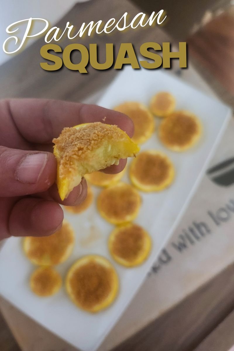 Parmesan Squash 10 Parmesan Squash