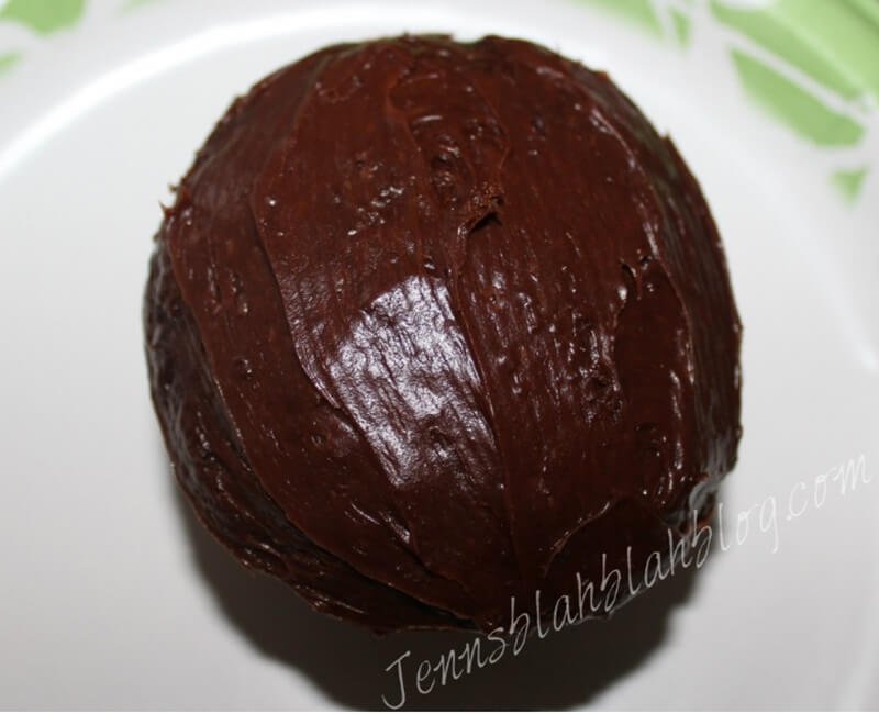 frosted chocolate cupcake