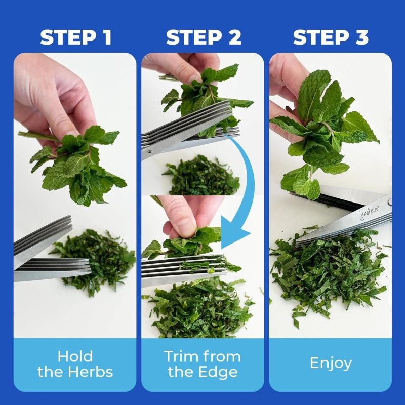 Jenaluca Herb Scissors