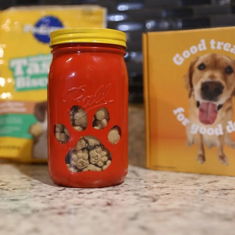 Awesome DIY Dog Treat Jar Using a Mason Jar 7 diy treat jar using a mason jar on the counter with a bag of treats in the back ground