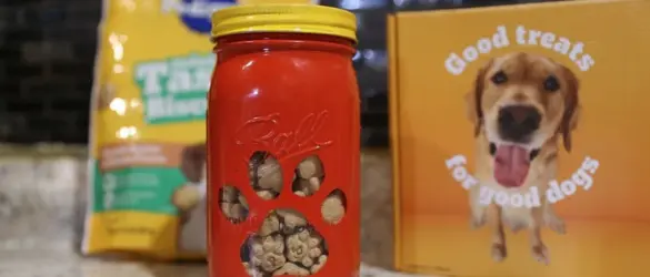 red and yellow diy treat jar out of mason jar sitting on counter with pedigree treats